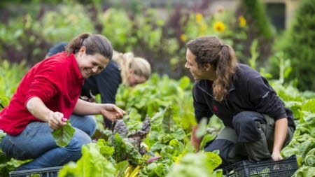 The plant whisperer: Emma Kinnard promotes healthy residing thru gardening