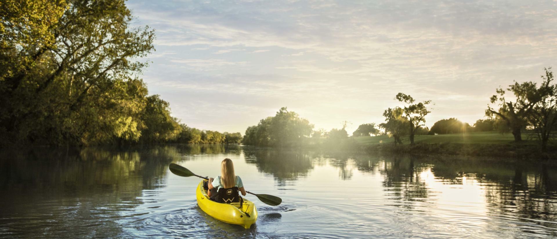 Driftwood outside: Chronic Wasting Disease profits extra countrywide attention