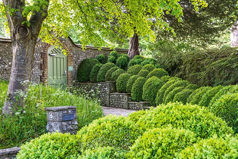Gardening: Daffodils signal spring is coming
