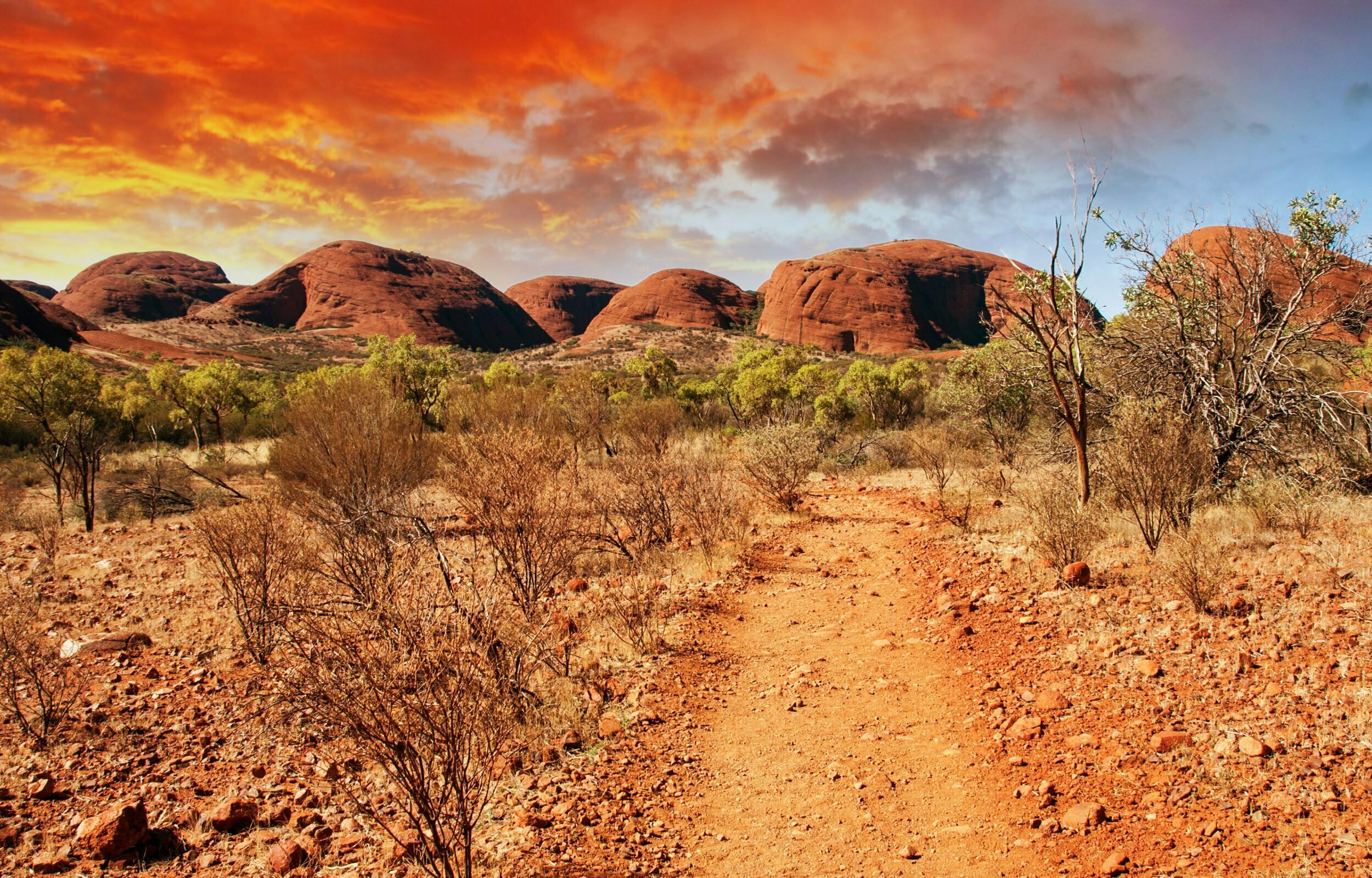 What’s Up Outdoors: Braving unpleasant ice for ugly fish