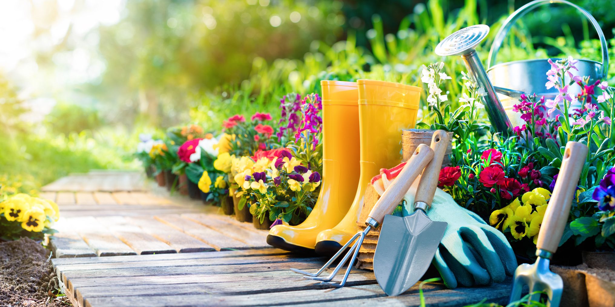 Gardening: Six methods to not kill your vegetation if you’re a millennial