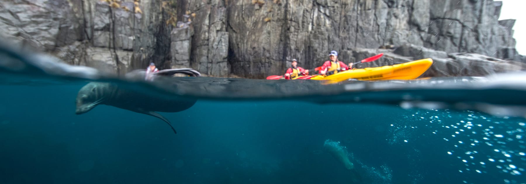 Outdoors column | Les Winkeler: Direction of IDNR under Pritzker a mystery