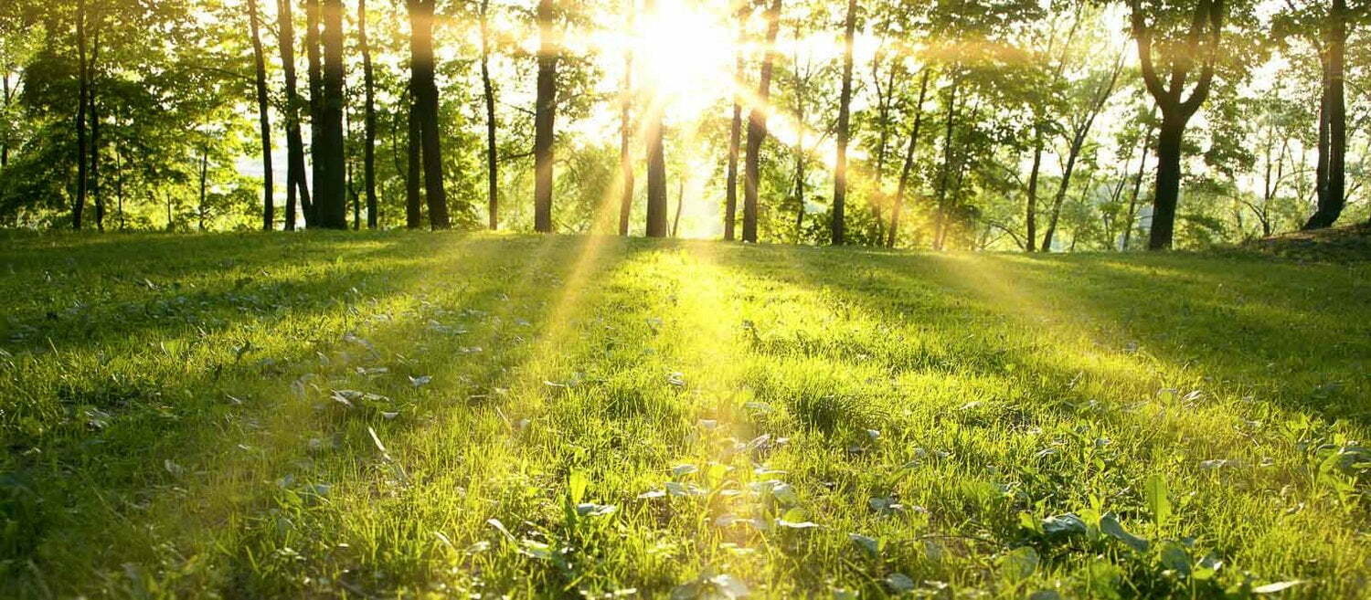 Outdoors in Maine: Hunting access problems have acquired little interest