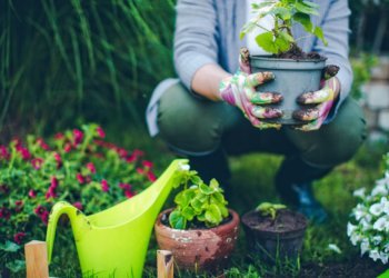 Nature Walks and Gardening Improve Overall Health