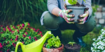 Nature Walks and Gardening Improve Overall Health