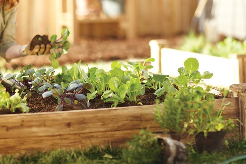 Gardening damage that puts a sprint in step