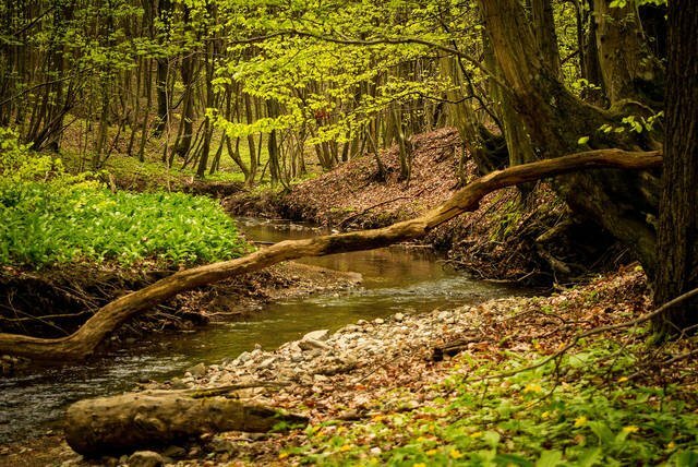 Register for Lewis and Clark’s Becoming an Outdoors Family Event