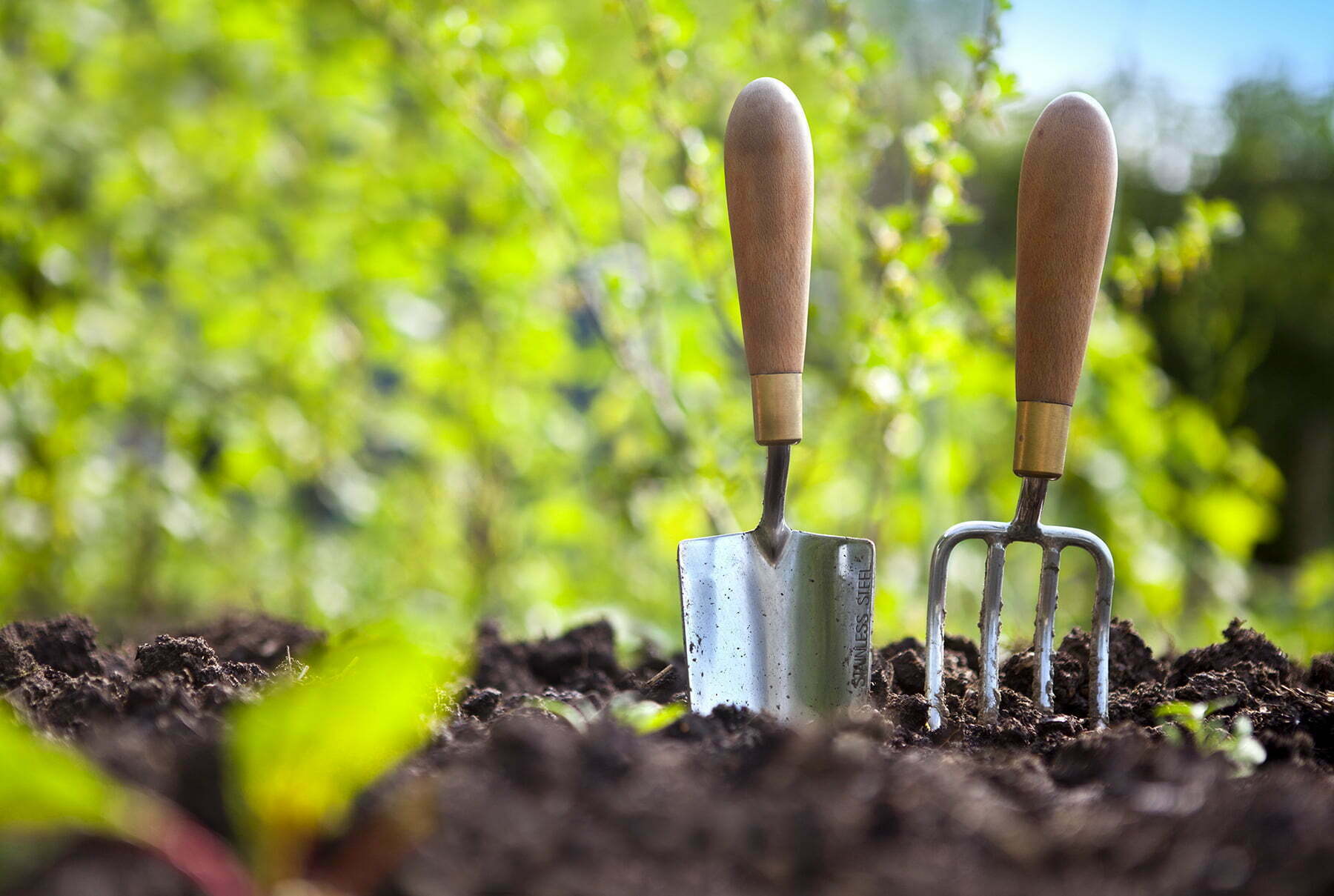 Gardening: Choose your soil to your garden accurately