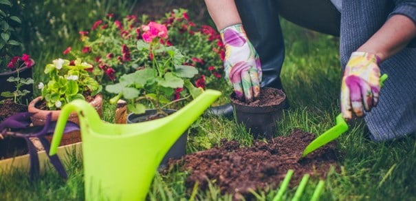 MASTER GARDENERS: Adapting the lawn. . . And the gardener
