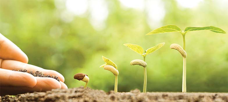 THE GARDEN SPOT: Increasing gardening fulfillment