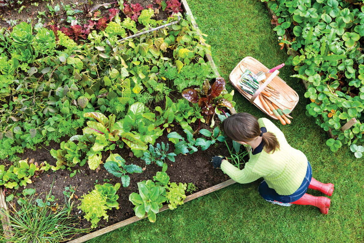 The one gardening mistake you could’t afford to make