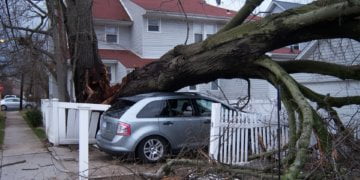 Storm, Damage, Hurricane, Wind, Disaster, Insurance