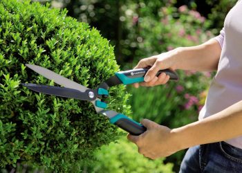 Shop For The Best Garden Shears Now And Never Cut Back On Gardening