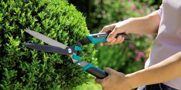 Shop For The Best Garden Shears Now And Never Cut Back On Gardening