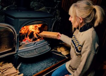 HouseFuel – Explaining why wood is being encouraged over coal in the UK