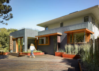 Levitt Goodman: Mastering Architectural Excellence