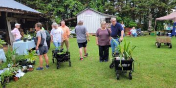 GARDEN SENSE: Find perfect flora for Brazos County at Master Gardeners spring sale